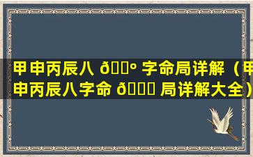 甲申丙辰八 🌺 字命局详解（甲申丙辰八字命 🐋 局详解大全）